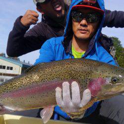 つりぼりあかし 釣果
