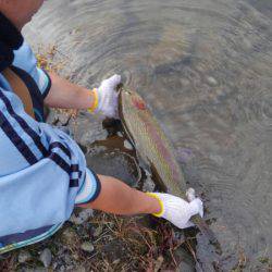 つりぼりあかし 釣果