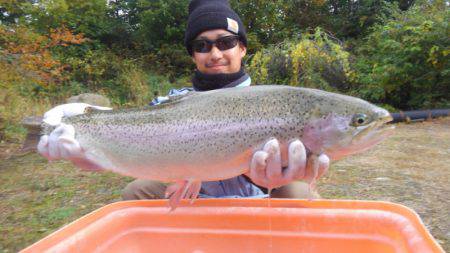 つりぼりあかし 釣果
