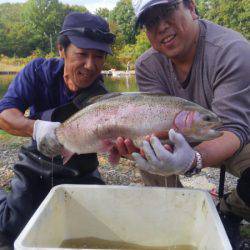つりぼりあかし 釣果