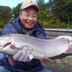 つりぼりあかし 釣果