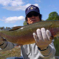 つりぼりあかし 釣果