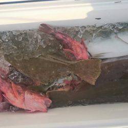 海龍丸（石川） 釣果