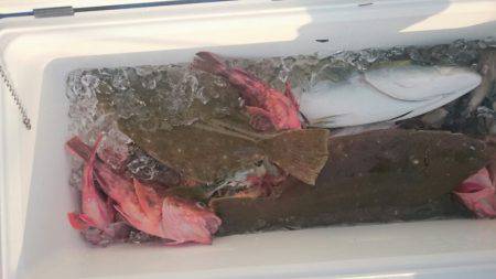 海龍丸（石川） 釣果