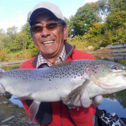 つりぼりあかし 釣果