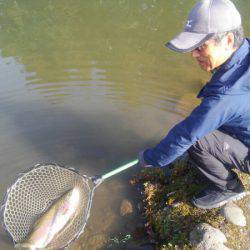 つりぼりあかし 釣果