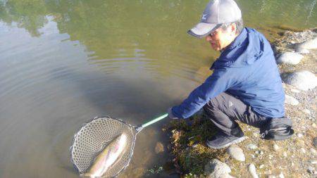 つりぼりあかし 釣果
