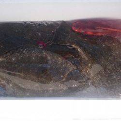 海龍丸（石川） 釣果