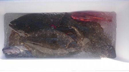 海龍丸（石川） 釣果