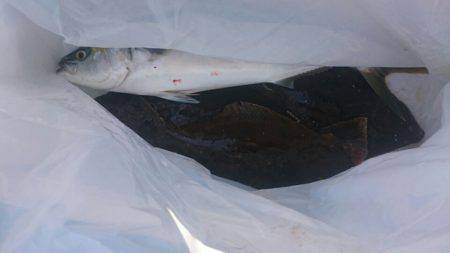 海龍丸（石川） 釣果