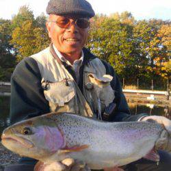 つりぼりあかし 釣果