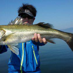 アマテラス 釣果