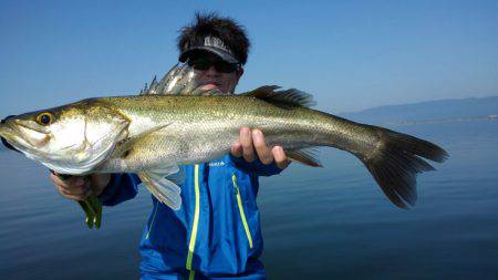 アマテラス 釣果