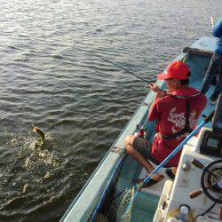 アマテラス 釣果