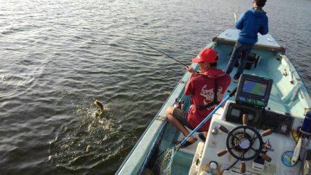 アマテラス 釣果