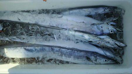 サンマリン 釣果