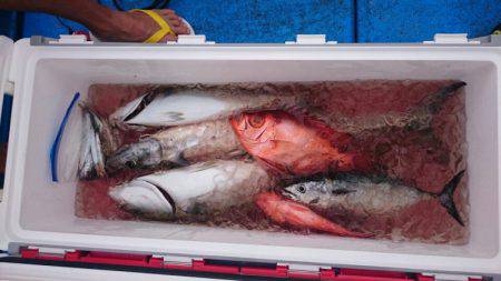 海龍丸（石川） 釣果