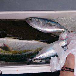 海龍丸（石川） 釣果