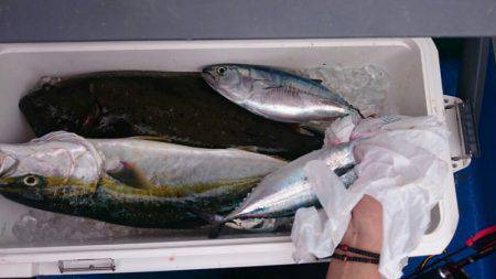 海龍丸（石川） 釣果