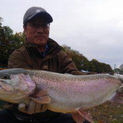 つりぼりあかし 釣果