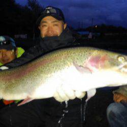つりぼりあかし 釣果