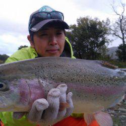 つりぼりあかし 釣果