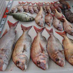 遊漁船 家入 釣果