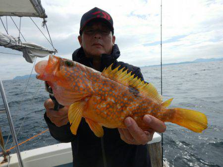 きずなまりん 釣果
