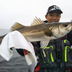 アマテラス 釣果