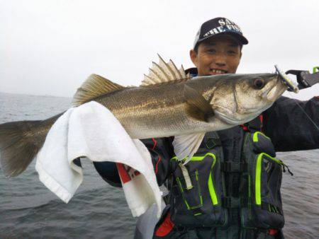 アマテラス 釣果