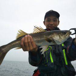 アマテラス 釣果