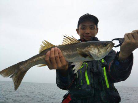 アマテラス 釣果