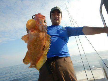 きずなまりん 釣果