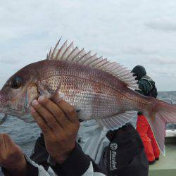 天祐丸 釣果