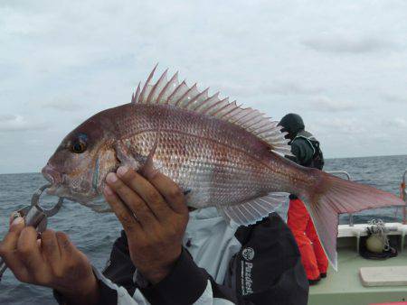 天祐丸 釣果