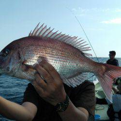 天祐丸 釣果