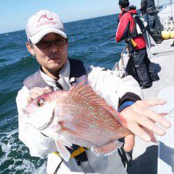 ありもと丸 釣果
