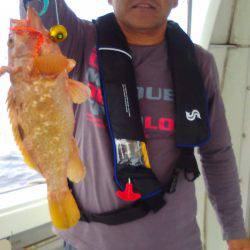 海季丸(みきまる) 釣果