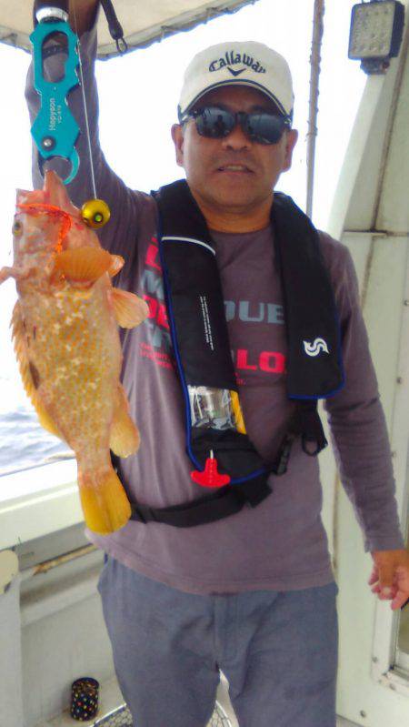 海季丸(みきまる) 釣果