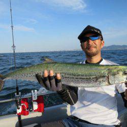 Chase(チェイス) 釣果