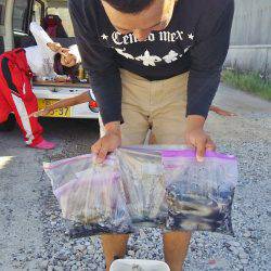 マリンガイド福丸 釣果