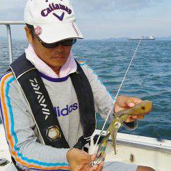 マリンガイド福丸 釣果