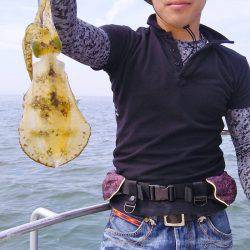 マリンガイド福丸 釣果