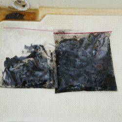 マリンガイド福丸 釣果