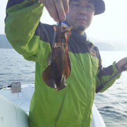 マリンガイド福丸 釣果