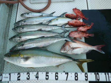 オーシャンスター(Ocean Star) …