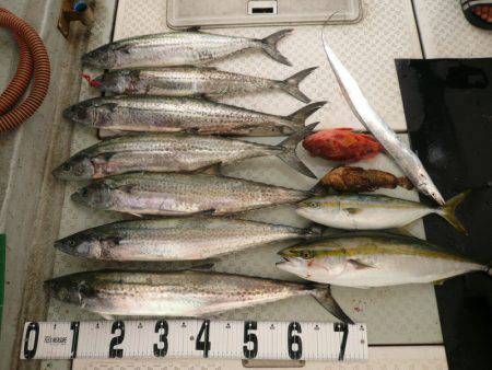 オーシャンスター(Ocean Star) …