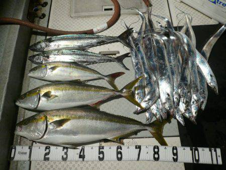 オーシャンスター(Ocean Star) …