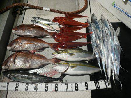 オーシャンスター(Ocean Star) …