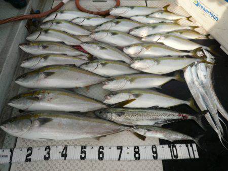 オーシャンスター(Ocean Star) …